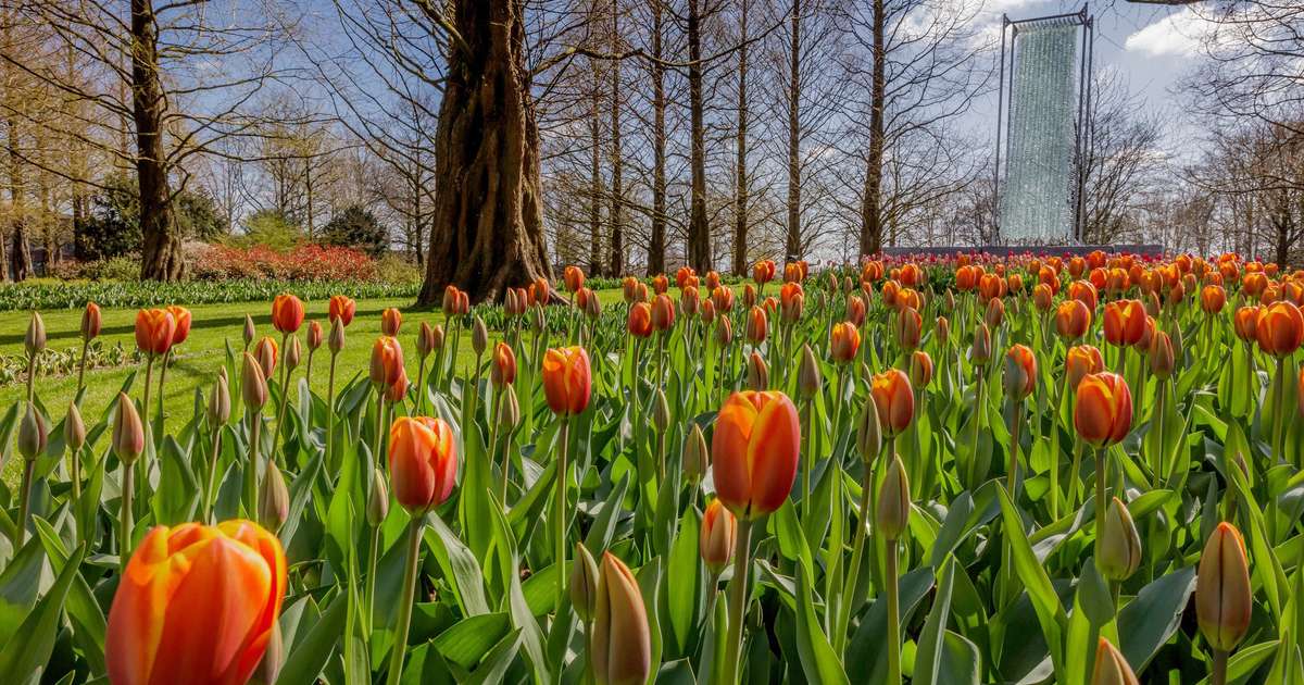 Things to Do Indoors in San Diego This Weekend April 1012, 2020