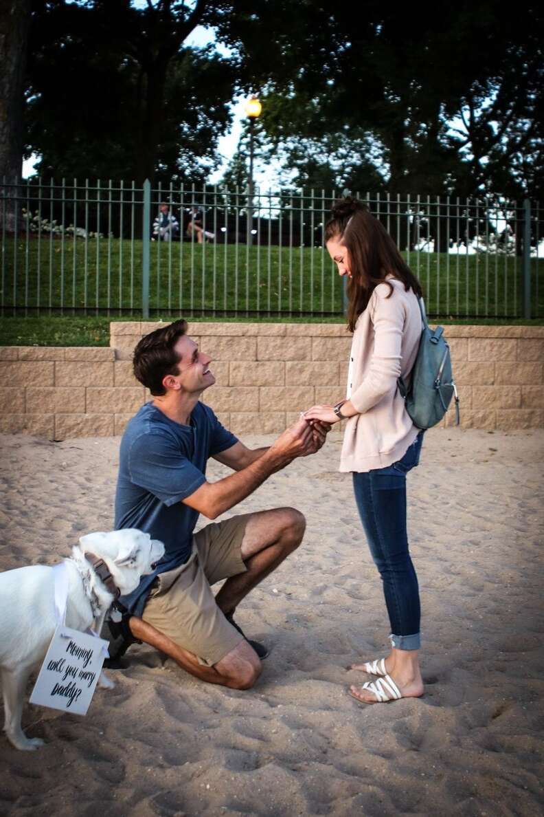 dog helps dad propose