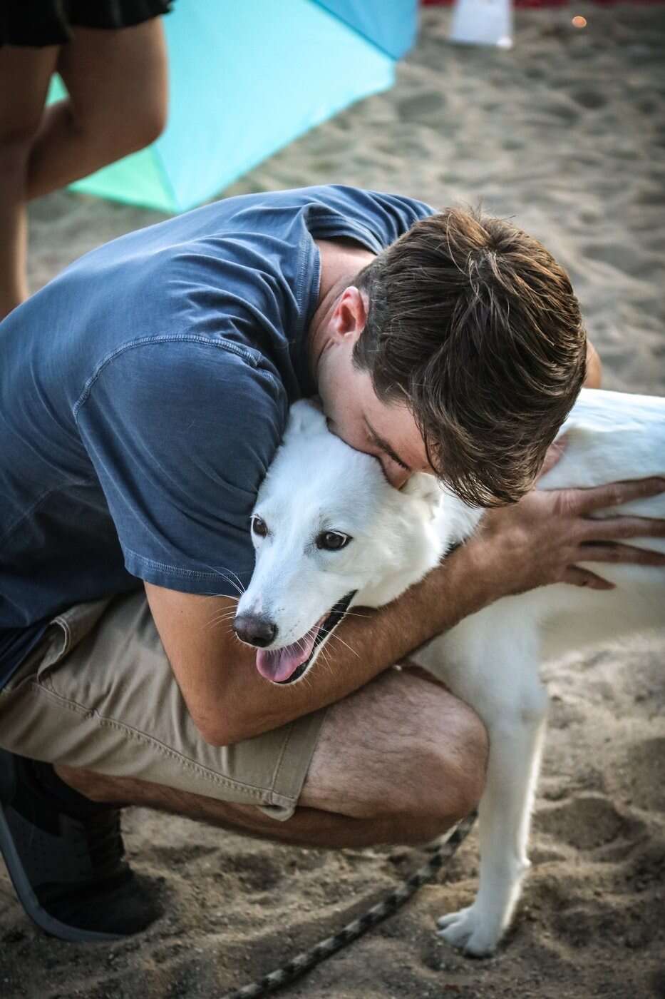 dog helps dad propose