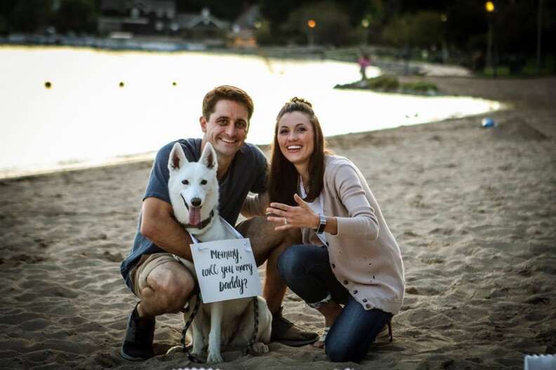 dog helps dad propose