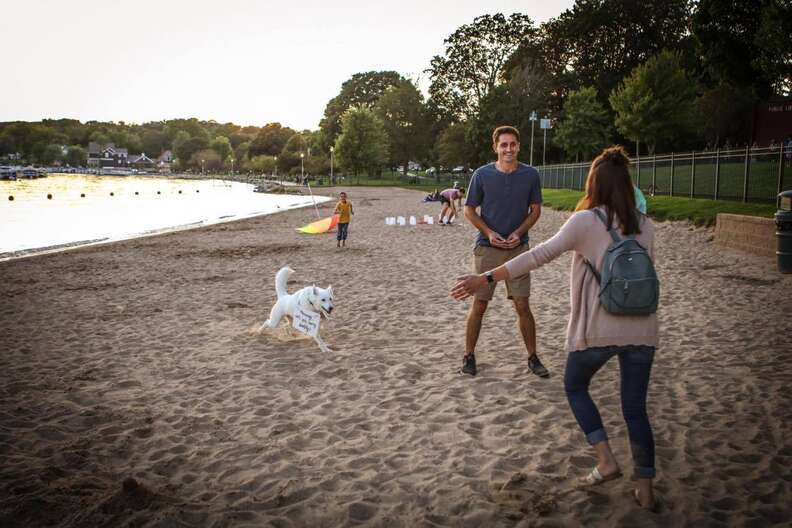 dog helps dad propose