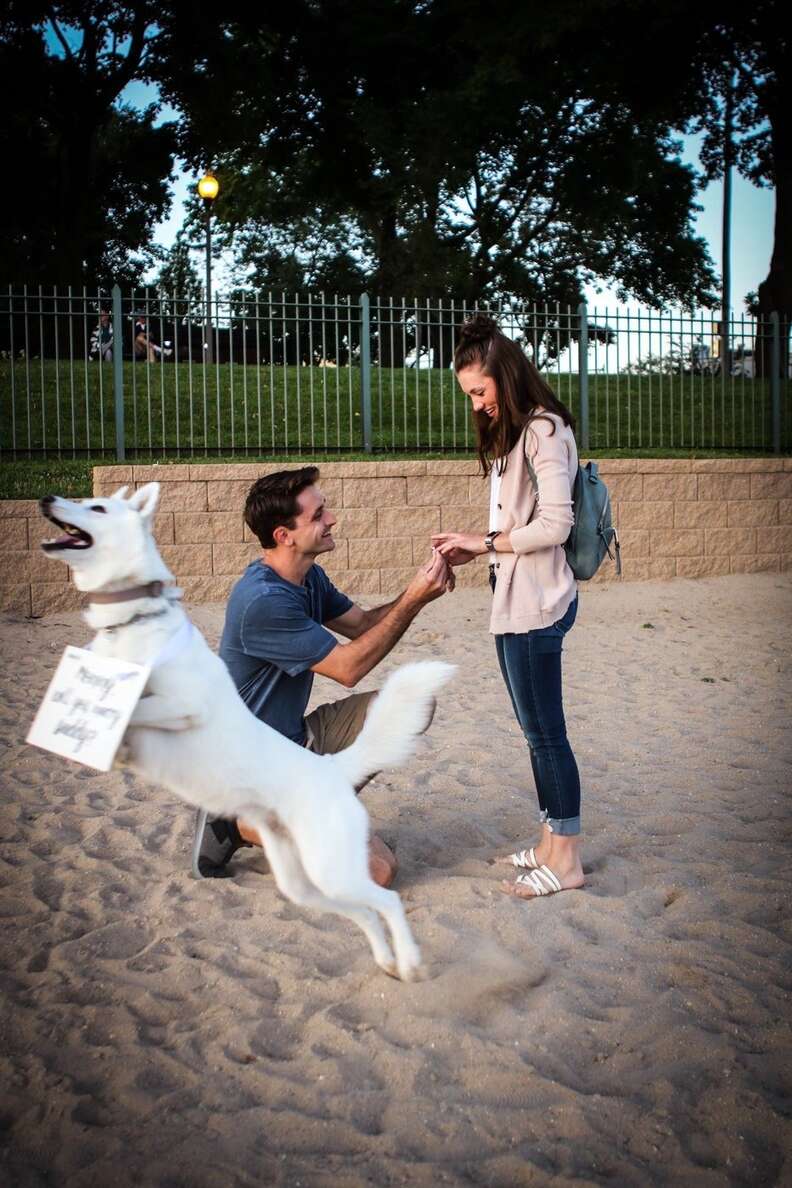dog helps dad propose