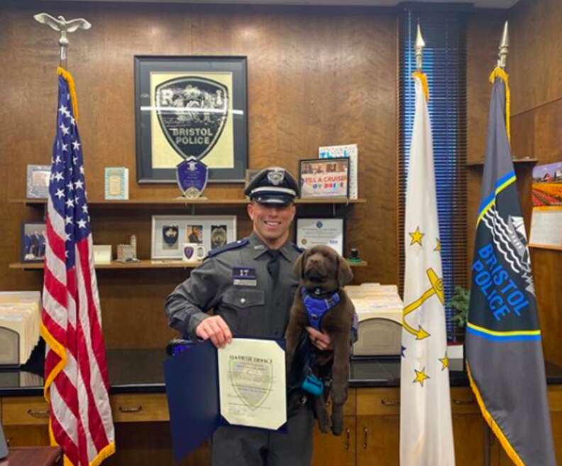 K-9 Comfort Dog Sleeps Through His Swearing-In Ceremony - The Dodo