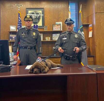 Dog falls asleep during his swearing in ceremony