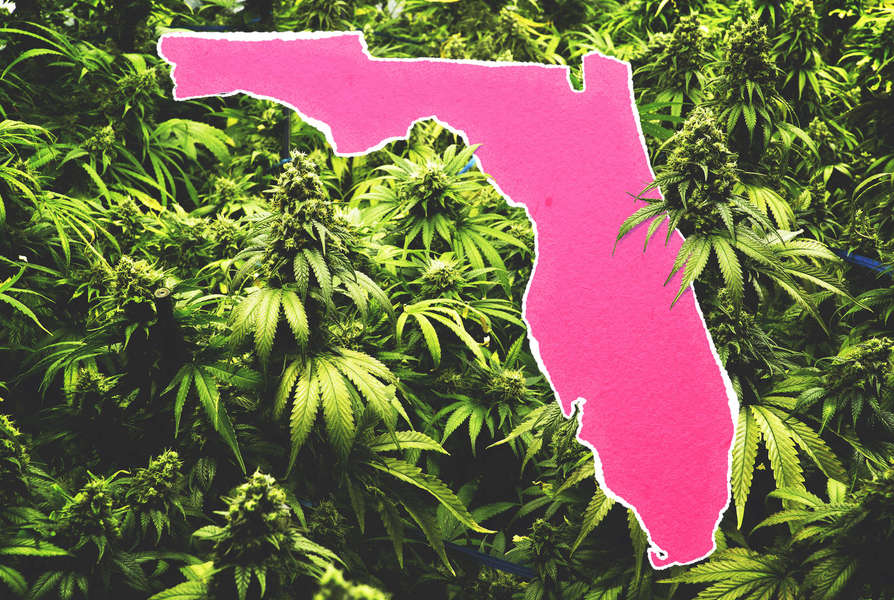 How to Get Medical Marijuana in Florida: Where to Buy Legal Weed - Thrillist