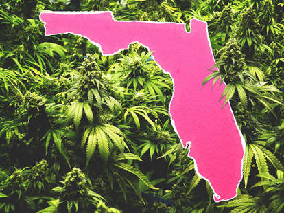 How To Get Medical Marijuana In Florida Where To Buy Legal Weed Thrillist