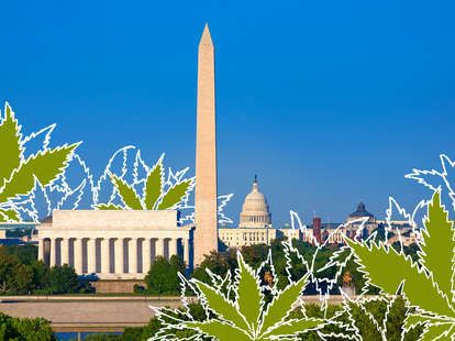 dc weed guide