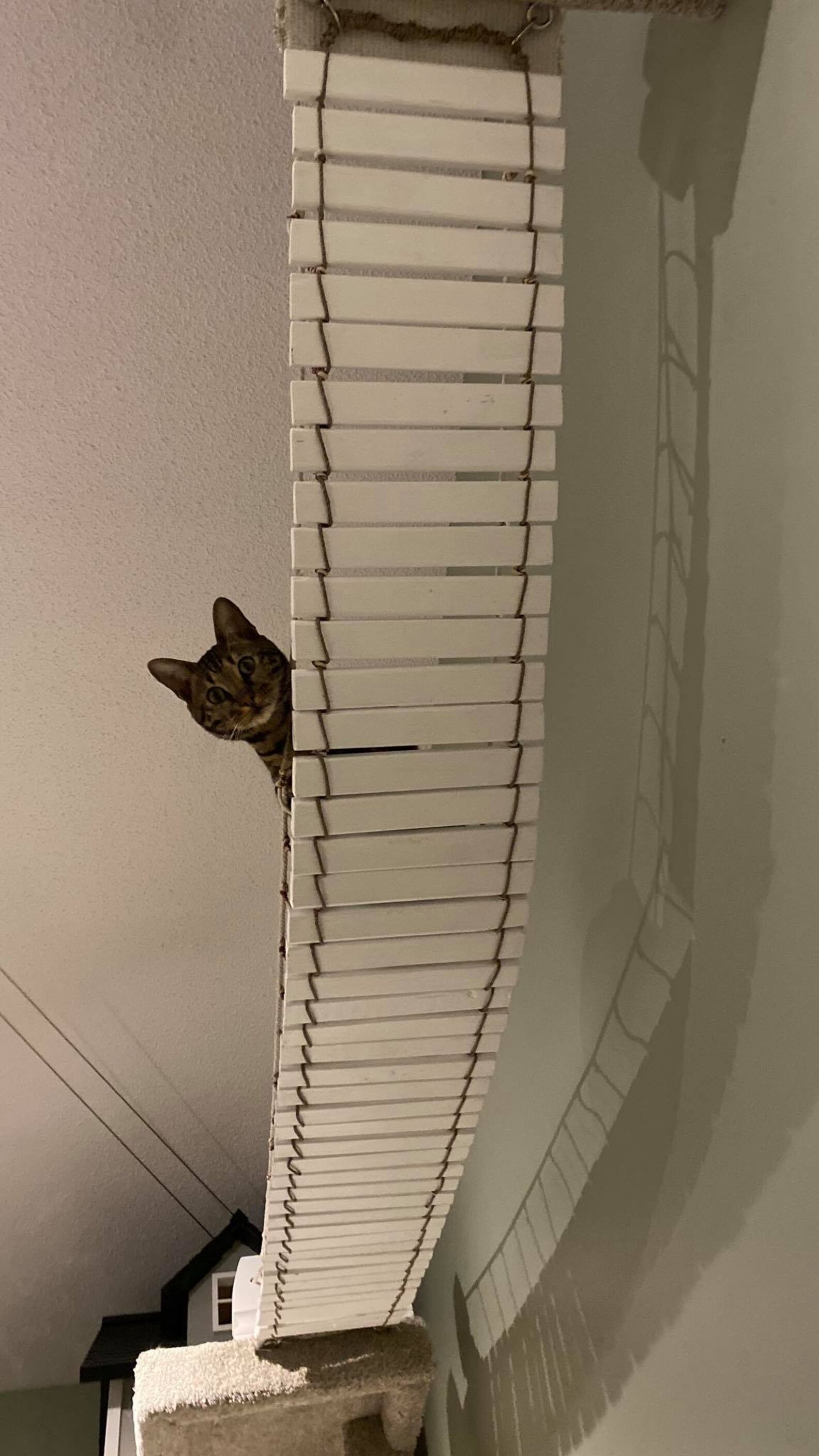 Guy Makes Coolest Cat Tower Ever The Dodo