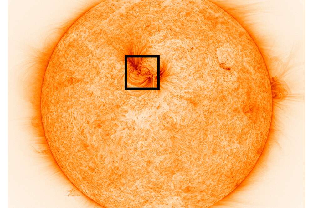 Three brilliant  Prime features, including stadium sound, X-ray  stats, and spidercams – The US Sun