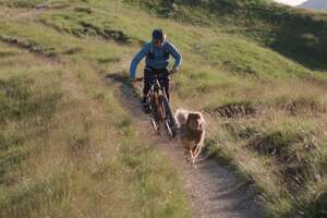 Dog Loves Running With His Mountain Biker Dad