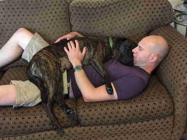 Pit bull gets a hug from dad