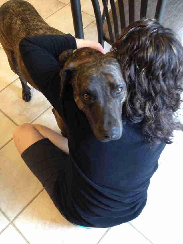 Dash the pit bull gets a hug from mom