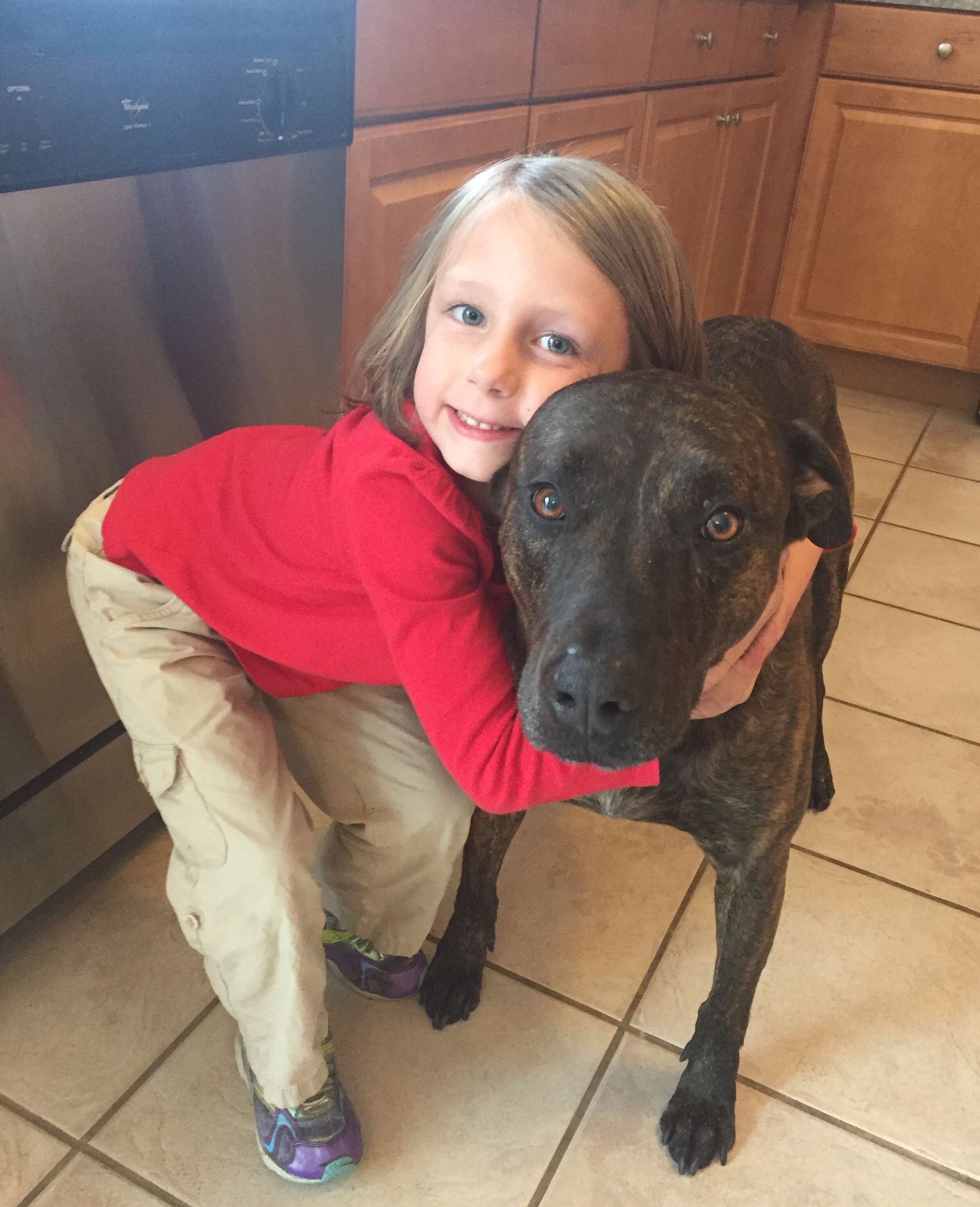 Pit bull asks for a hug before eating breakfast