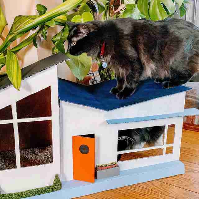 cat house