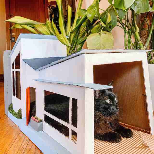 cat house