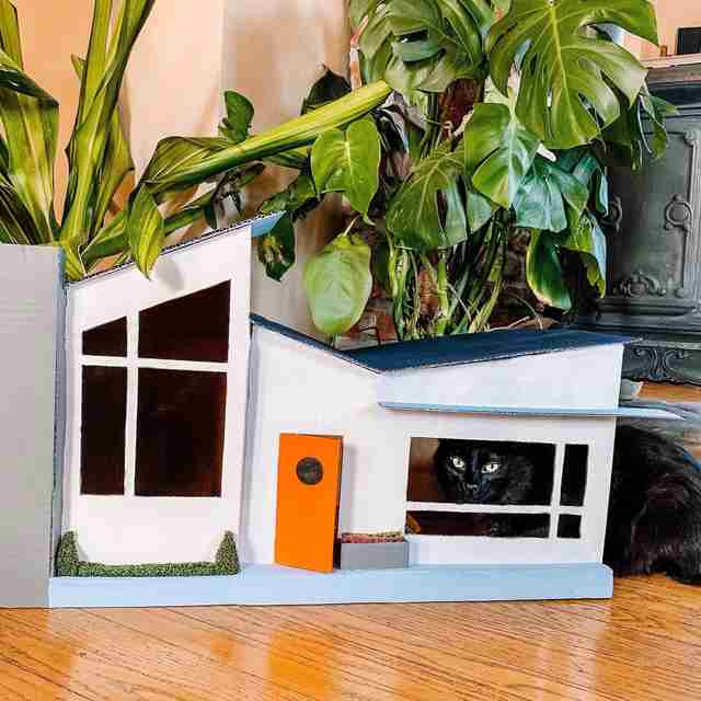 cat house