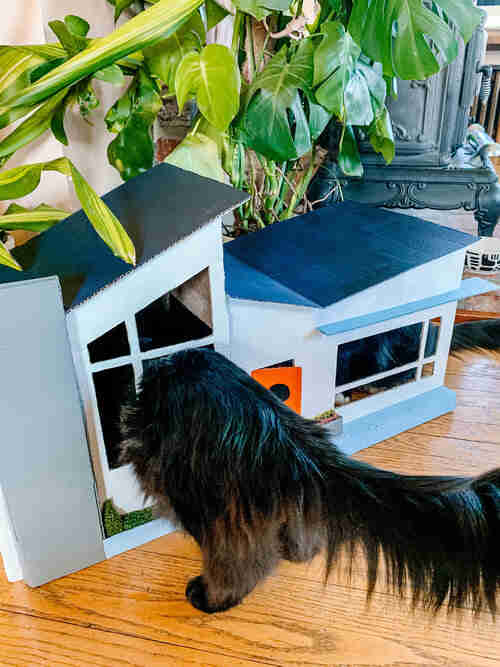 cat house