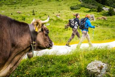 Vorarlberg Tourismus