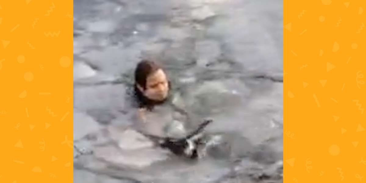 Woman Jumps Into Icy Lake To Save A Dog - Videos - The Dodo