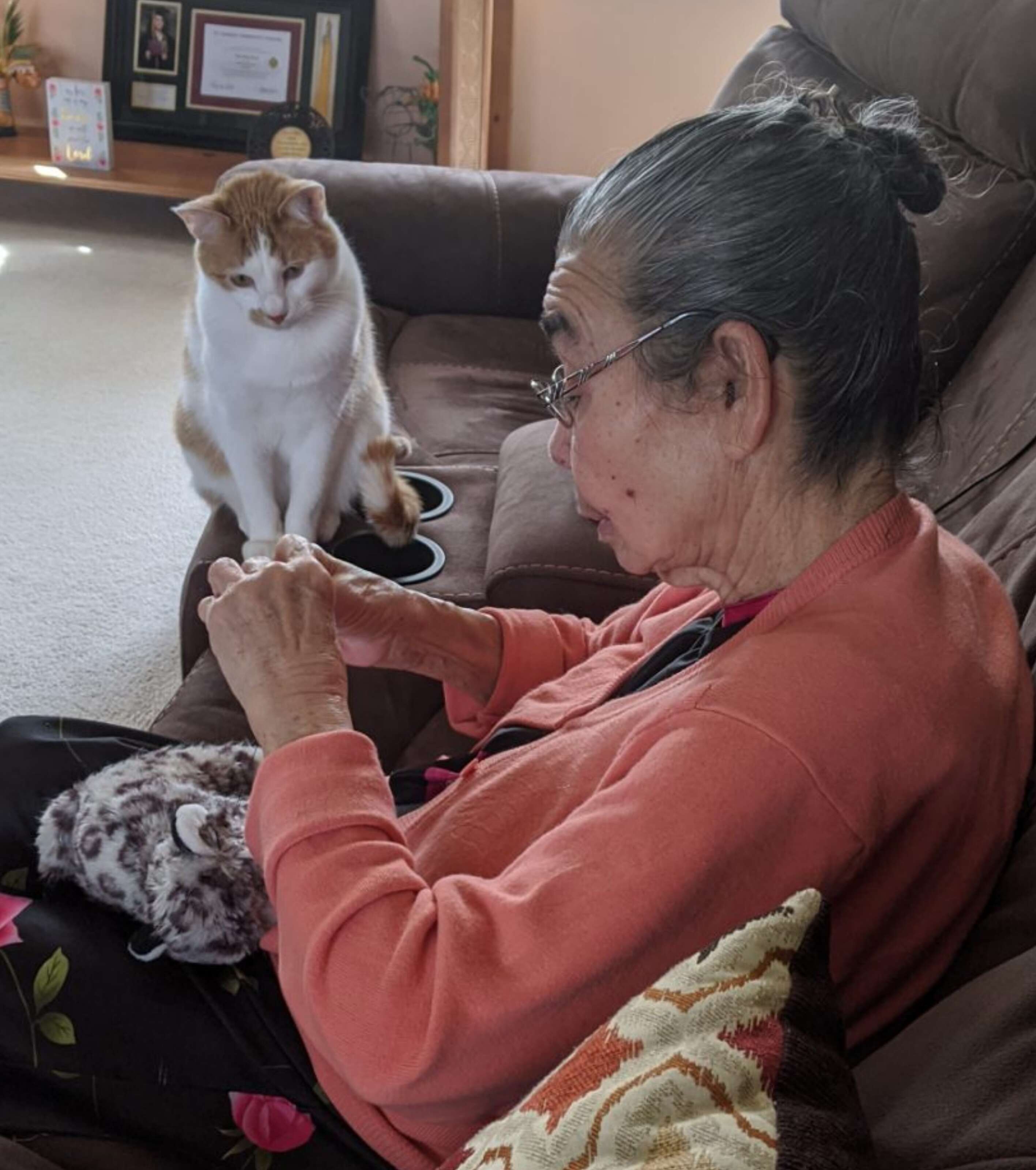 Cat watches grandmother fix his toy
