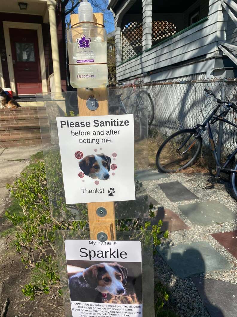 Dog has a sanitizing station