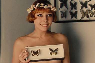 Daisies 1966