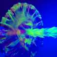 Vortex Collisions Could Unravel How Order Turns to Disorder