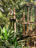 Las pozas at Xilitla