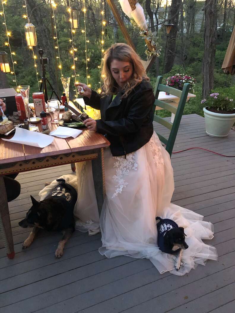 Dog falls asleep on wedding dress