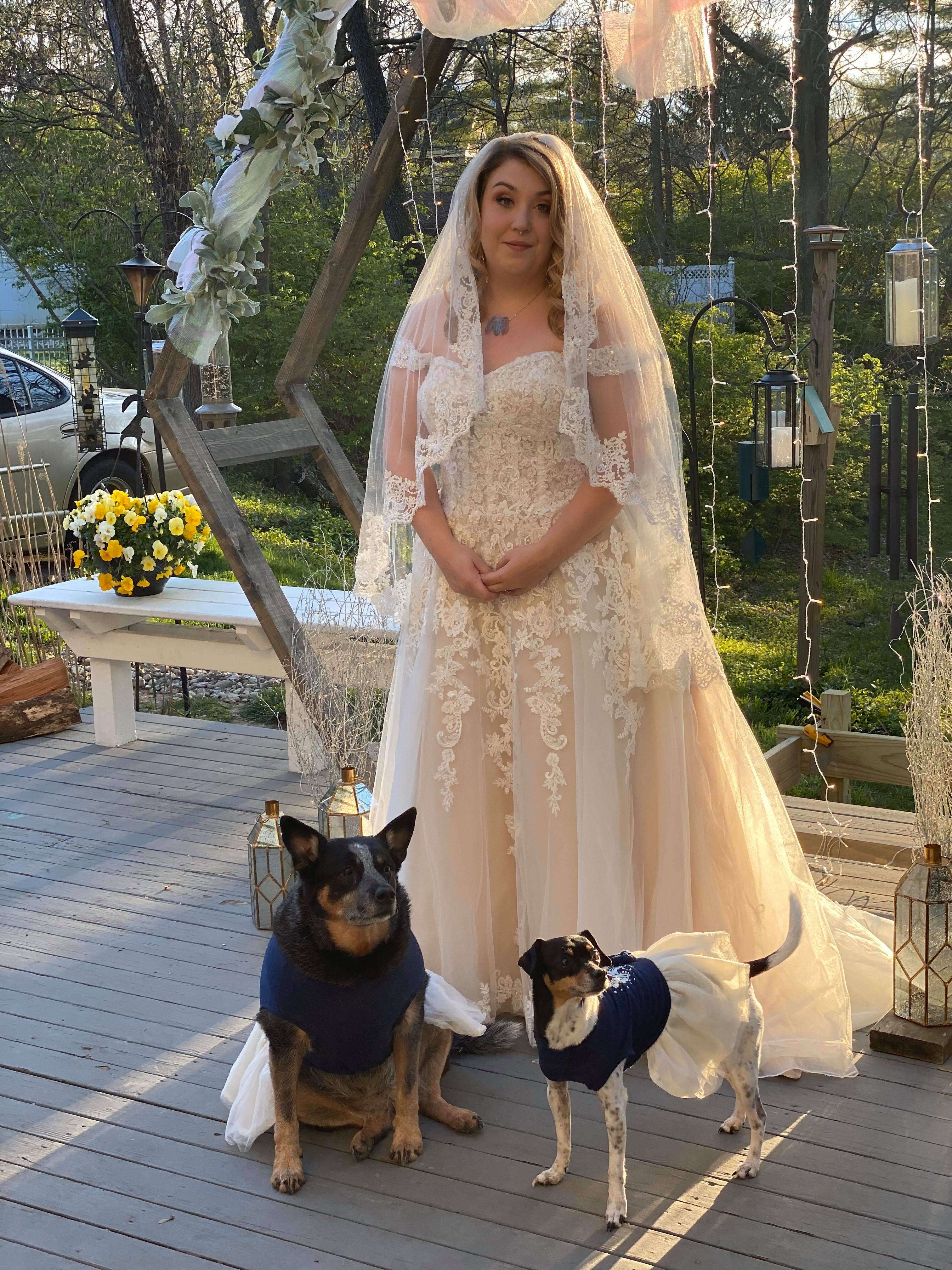 Dogs act as bridesmaids after wedding is cancelled