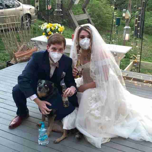 Dogs act as their parents' bridesmaids