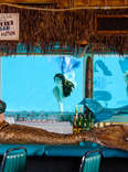 Live Mermaids Make This Montana Dive Bar One of Our Great National Treasures