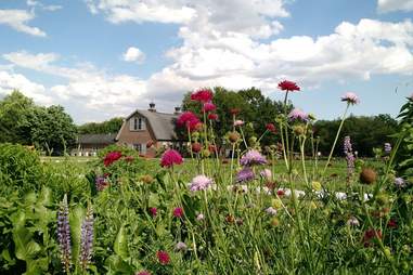 queens county farm museum