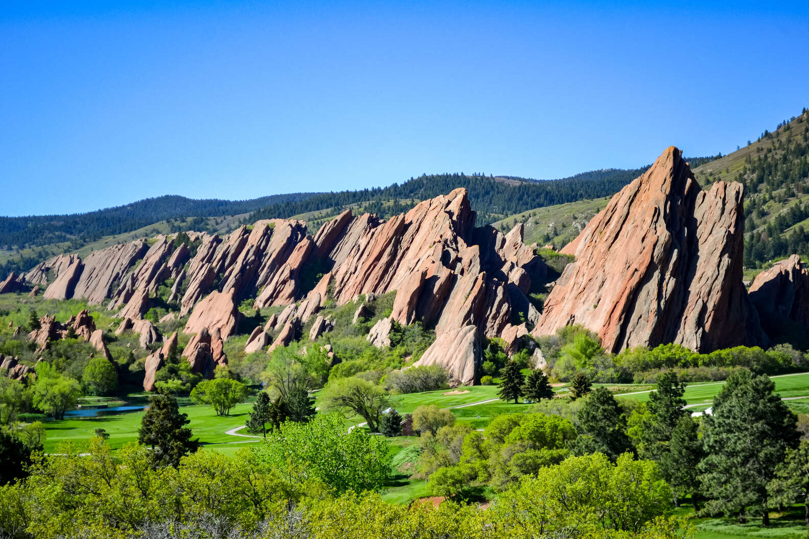 Actually Cool Things to Do in Denver Right Now Thrillist