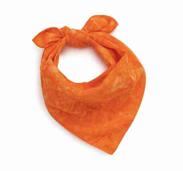 Orange Dog Bandana