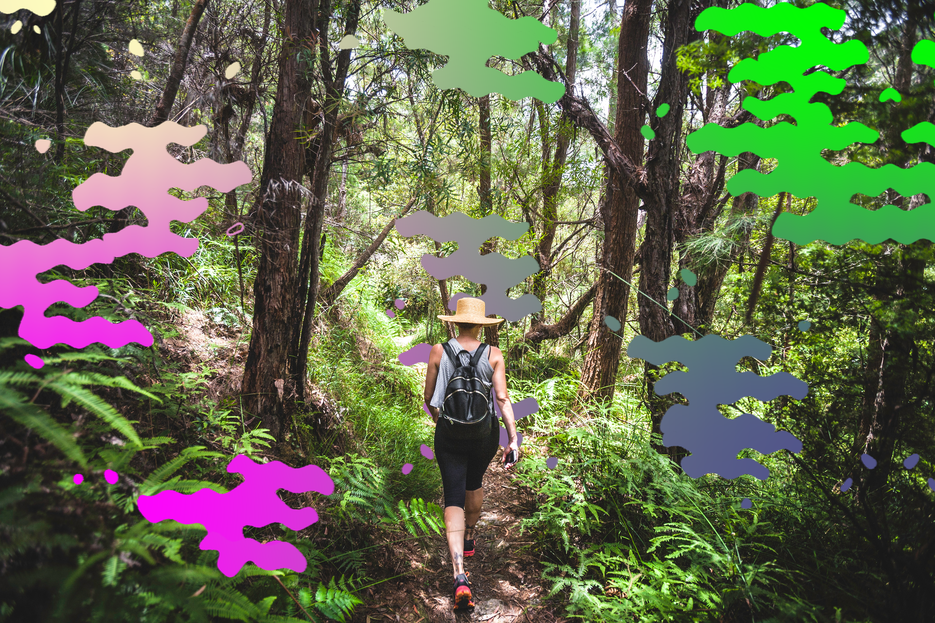 Japanese ‘Forest Bathing’ Is the Anxiety Reliever You Need Right Now