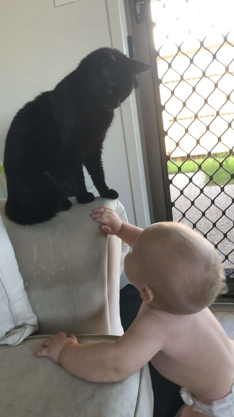 cat and baby