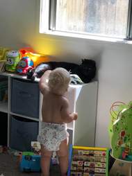 cat and baby
