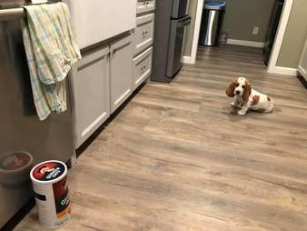 Dog is scared of the Quaker Oats man