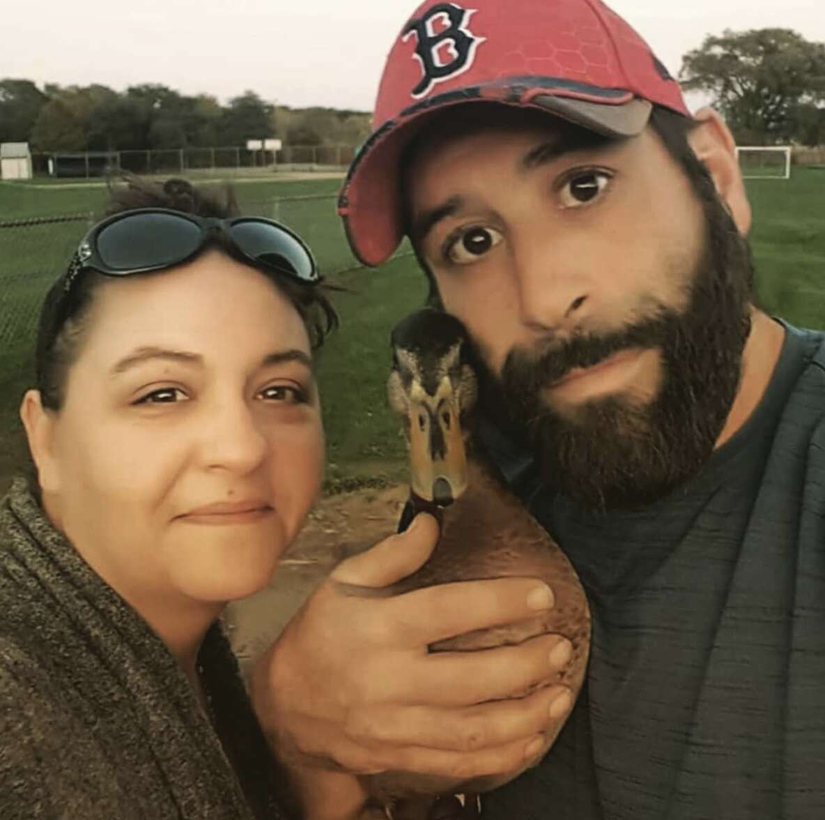 rescue duck