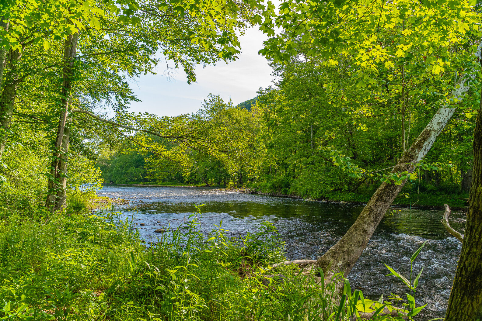 Best Hiking Near NYC Day Hikes, Trails & Parks You Need to Check Out
