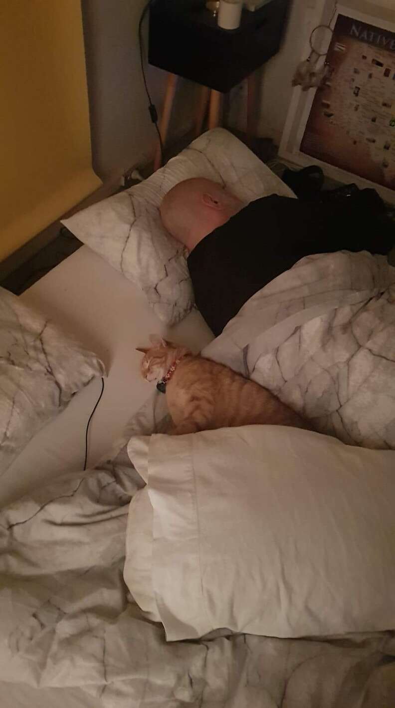 cat sleeps over