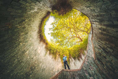 a person looking up at trees from an underground tunnel 