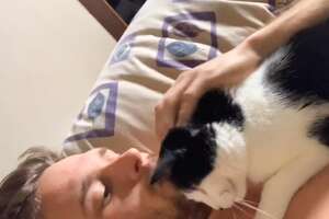 Cat And His Dad Are Obsessed With Each Other