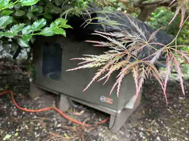 The heated cat house with a camera that Maria Cassano's dad built