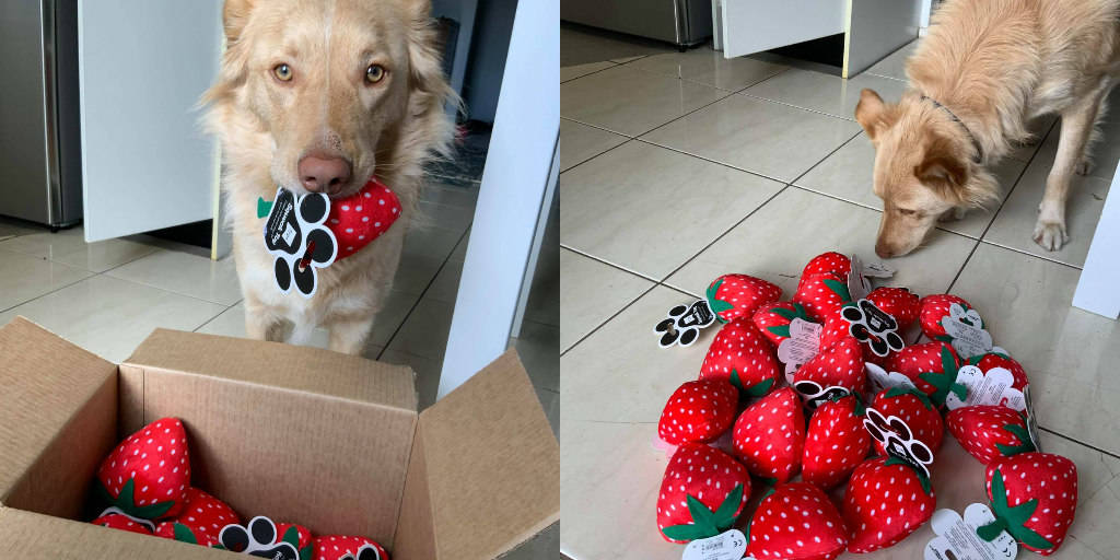 Strawberry dog outlet toy