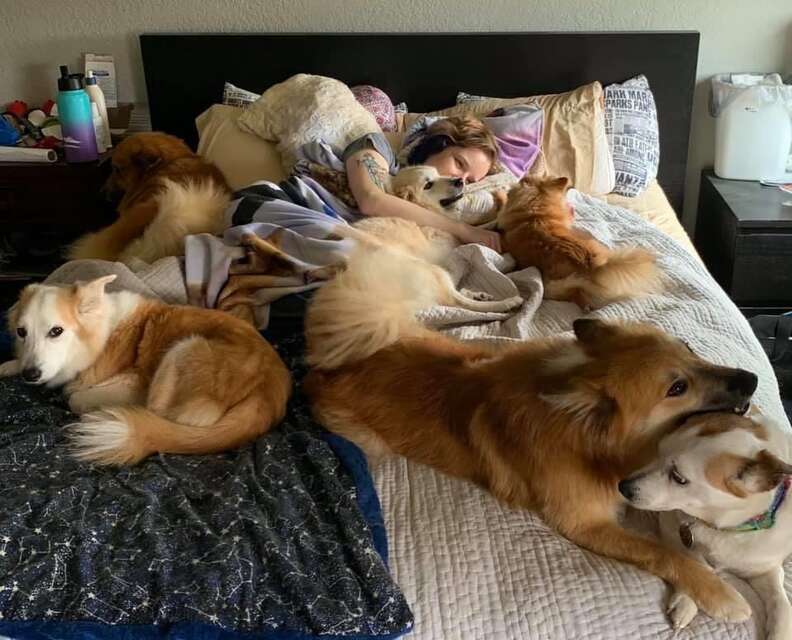 400 foster animals family