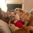 400 foster animals family