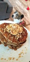 dog food photos