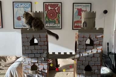 cat castle